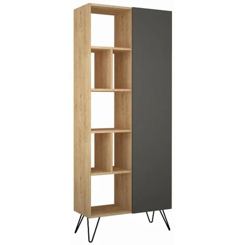 cumpără Etajeră Trendy Biblioteca Jedda, Stejar, Antracit, 79x190x32cm (GTR000405) în Chișinău 