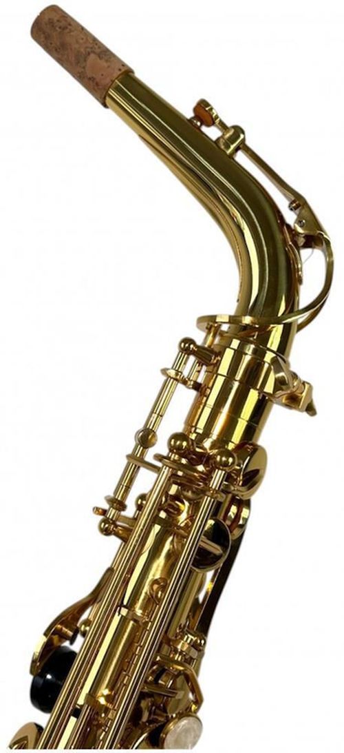 cumpără Instrument muzical de suflat Clifton Mib Saxofon Alto în Chișinău 
