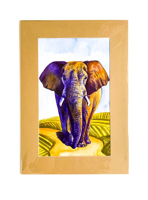 купить "Elefant din Africa" в Кишинёве 