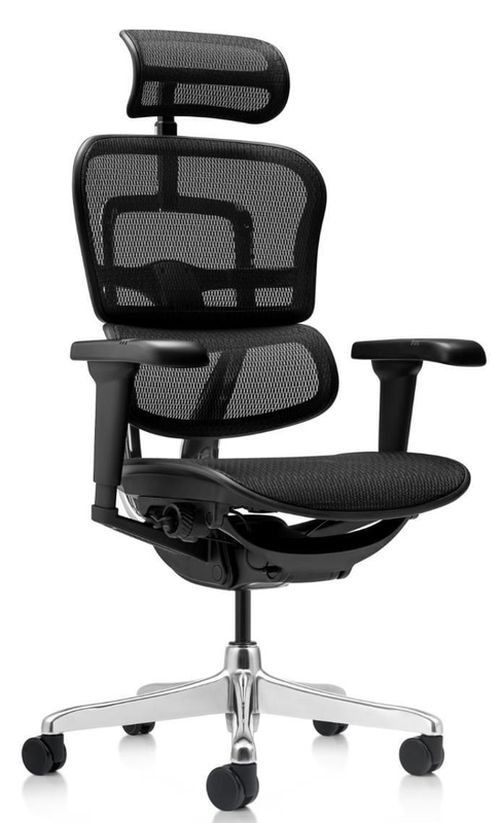 купить Офисное кресло ART Ergohuman Ultra Black T-168-B1 EHU-AB-HAM-5D в Кишинёве 