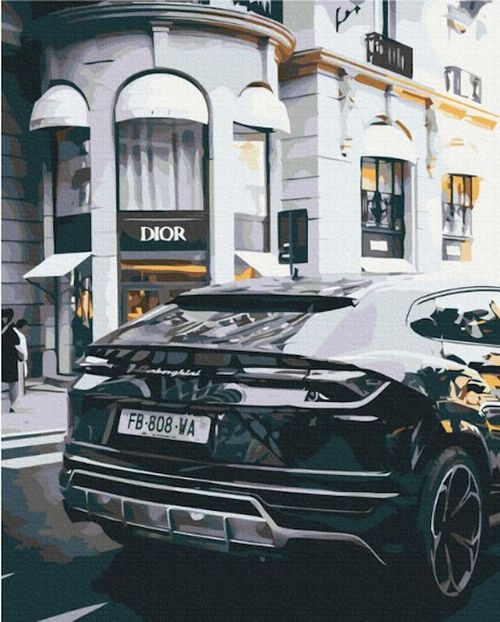 купить Картина по номерам BrushMe BS52523FC 40х50cm (fără cutie) Viață luxoasă в Кишинёве 