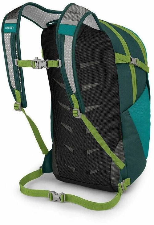 купить Рюкзак городской Osprey Daylite Plus 20 Escapade Green/Baikal в Кишинёве 