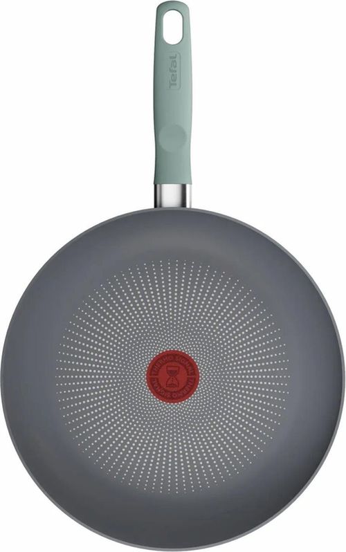купить Сковорода Tefal G0160602 Halo Eucalyptus 28cm в Кишинёве 