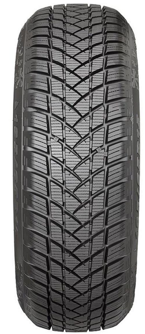 cumpără Anvelopă GT Radial 225/55 R16XL 99H WINTERPRO2 în Chișinău 