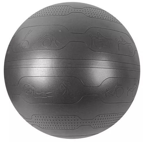 купить Мяч inSPORTline IN29179-1 Minge gimnastica d=65 cm BLACK +pompa в Кишинёве 