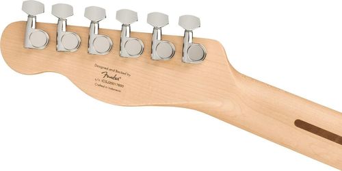 купить Гитара Fender Squier Tele MN ButterscotchB в Кишинёве 