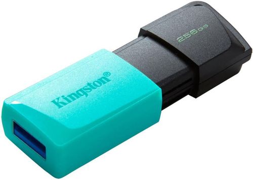cumpără USB flash memorie Kingston DTXS/256GB în Chișinău 