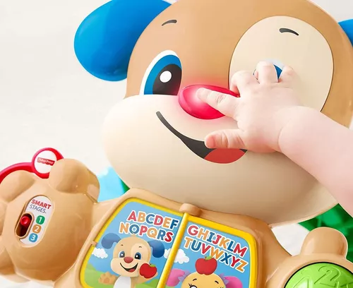 купить Ходунок Fisher Price GXR70 Puppy в Кишинёве 