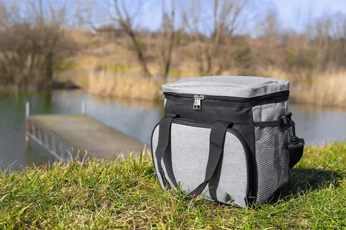 купить Сумка холодильник Noveen LBB510 Thermal Bag в Кишинёве 