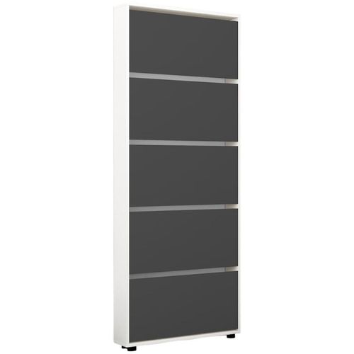 купить Полка для обуви Mobildor-Lux Leo Slim 60x16x203H cm White/Anthracite в Кишинёве 