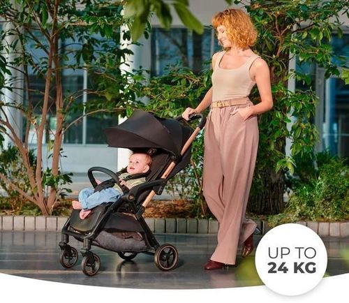 cumpără Сărucior pentru copii KinderKraft Apino Ksapin00blk0000 Raven Black în Chișinău 