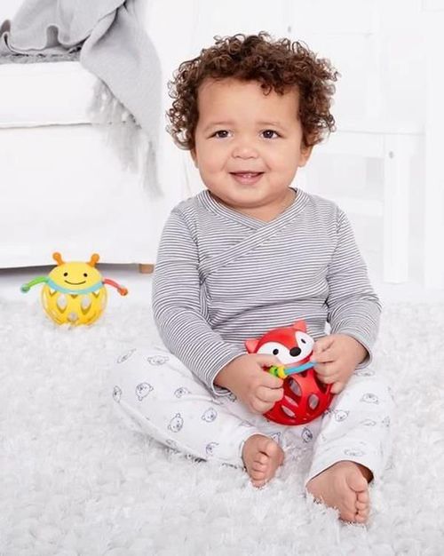 cumpără Zornăitoare Skip Hop 305201 Explore & More Vulpe în Chișinău 