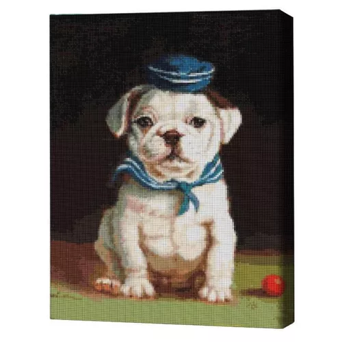 купить Картина по номерам BrushMe DBS1205FC Mozaic cu diamante 40x50сm (fără cutie) Bulldog, Lucia Heffernan в Кишинёве 