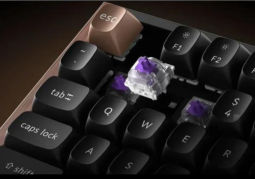 купить Клавиатура Keychron K8 HE QMK Wireless Magnetic Switch Custom Keyboard (K8H-F1) в Кишинёве 