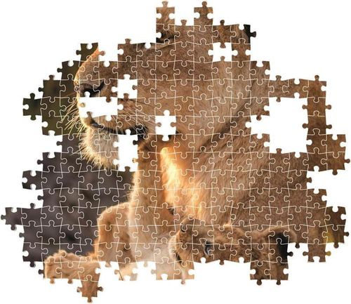 купить Пазл Clementoni Puzzle 500 Feline Love 2026 (35620) в Кишинёве 