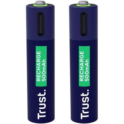 cumpără Acumulator Trust TR25585 USB-C Rechargeable Battery AAA 500 mAh, 2 Pack în Chișinău 