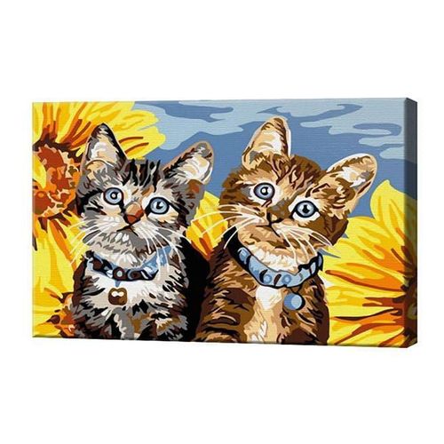 купить Картина по номерам Art Gallery CX3788 20x30cm Motanasi si floarea-soarelui в Кишинёве 