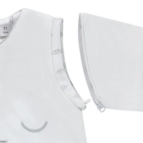 cumpără Haine pentru copii Premaman 0PTU3G\101 Sac de dormit cu maneci detasabile TOG 2.5 Dream în Chișinău 