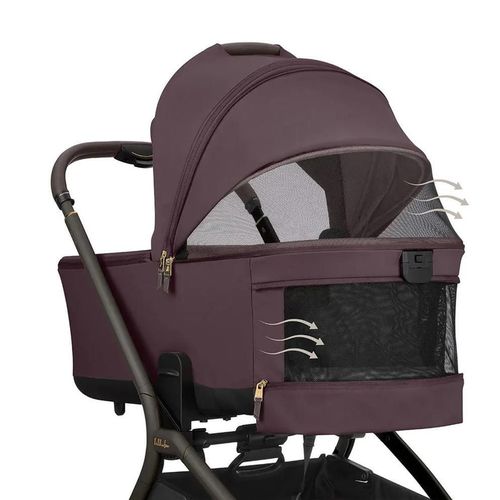 cumpără Сărucior pentru copii Kikka Boo 31001020173 Carucior 2in1 Goya Platinum Merlot în Chișinău 