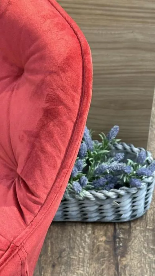 cumpără Scaun Signal Cherry velvet în Chișinău 