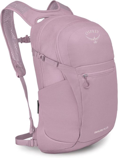 cumpără Rucsac sportiv Osprey Daylite Plus Iris Pink (810165744189) în Chișinău 