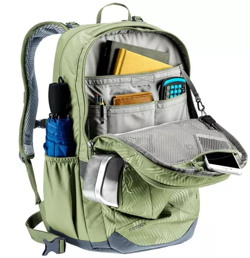 купить Рюкзак спортивный Deuter Cotogy grove ripple-grove в Кишинёве 