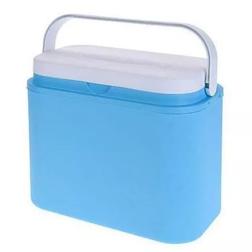 купить Сумка холодильник Excellent Houseware 46648 Excellent Solutions 10l в Кишинёве 