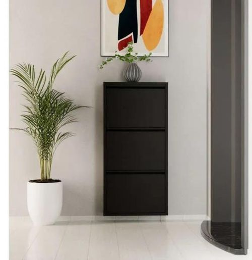 cumpără Raft pentru încălțăminte Trendy 3 Piece Metal-Black, 50x103x15cm în Chișinău 