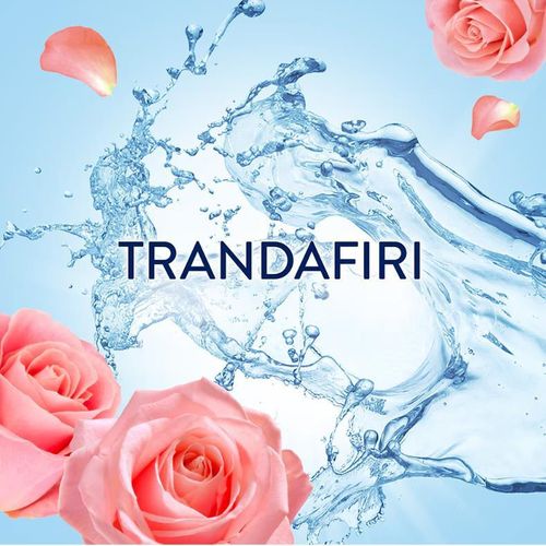 cumpără Balsam de rufe Lenor 0042 ROSE BOUQUET 71W în Chișinău 