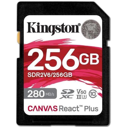 купить Флеш карта памяти SD Kingston SDR2V6/256GB в Кишинёве 