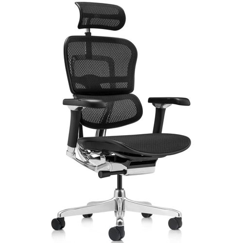 купить Офисное кресло ART Ergohuman Luxury 2 Black T-168-B1 EHL2-AB-HAM-5D-D в Кишинёве 