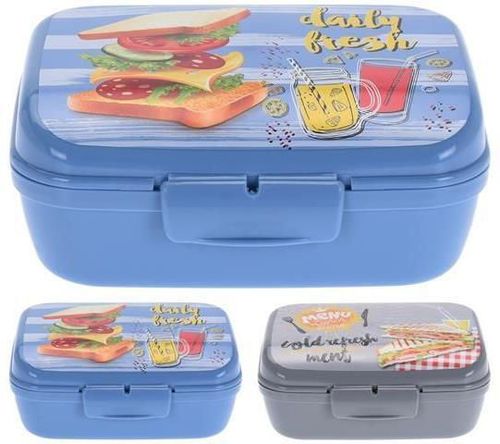 купить Контейнер для хранения пищи Excellent Houseware 41618 Lunch-box Sandwich 16x13x7cm 1l в Кишинёве 
