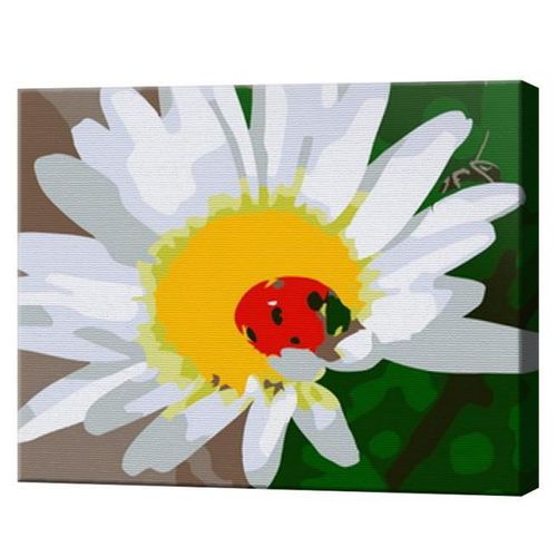 купить Картина по номерам Art Gallery CX4220 20x30cm Buburuza pe romanita в Кишинёве 