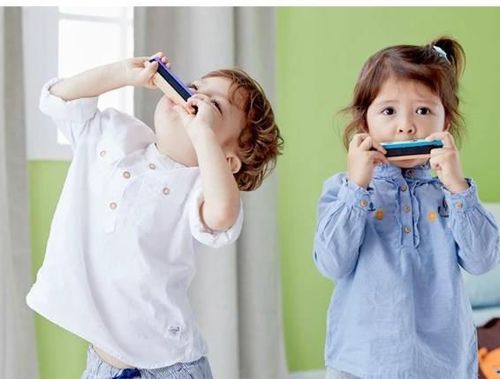 купить Музыкальная игрушка Classic World 40539 гармошка в Кишинёве 