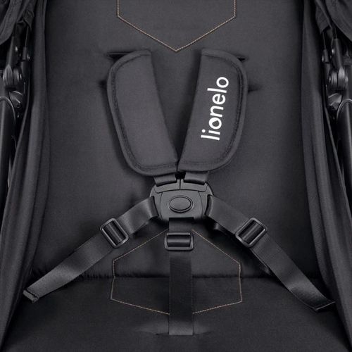 купить Детская коляска Lionelo Zoey Black Onyx в Кишинёве 