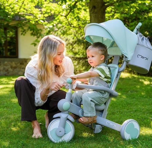 купить Велосипед-коляска MoMi Solivia Green 4in1 в Кишинёве 