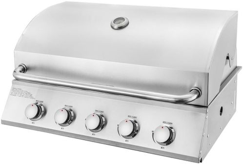 купить Мангал ArtFlame ERB500R pe gaz din otel inoxidabil в Кишинёве 