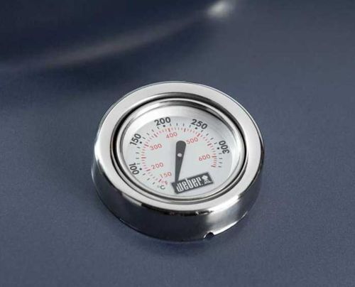 купить Мангал Weber Gratar pe carbuni Master-Touch E-5750 GBS Slate в Кишинёве 