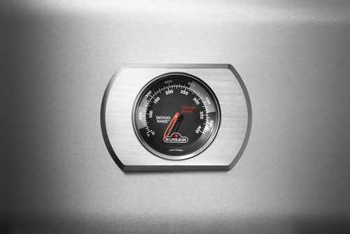 cumpără Grătar Napoleon Gratar pe gaz Rogue 525 Pro-S Inox, cu Sizzle Zone Infrared (RPS525RSIBPSS-2-CZ) în Chișinău 
