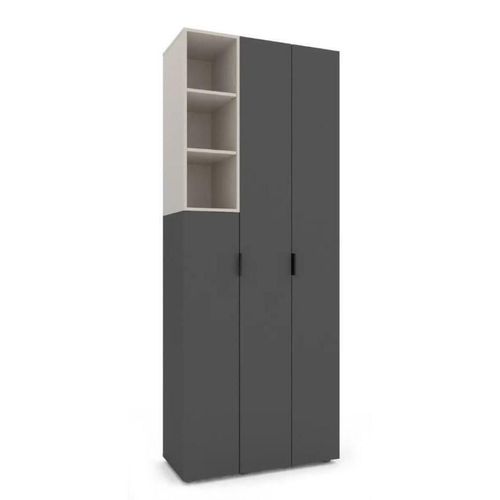 cumpără Dulap Nex Home A003L cu usi batante, 900x420x2300mm, Anthracite/Cashmere în Chișinău 