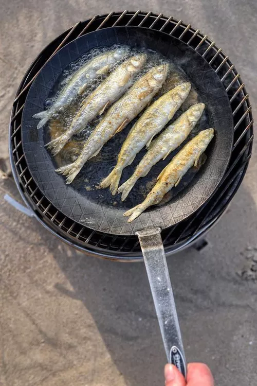 купить Сковорода Petromax Wrought-Iron Pan SP28 в Кишинёве 