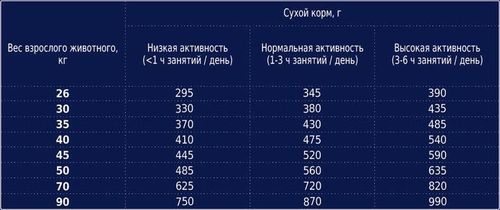 купить Корм для питомцев CLUB 4 PAWS 24230997 Sac caini mari 14 kg в Кишинёве 