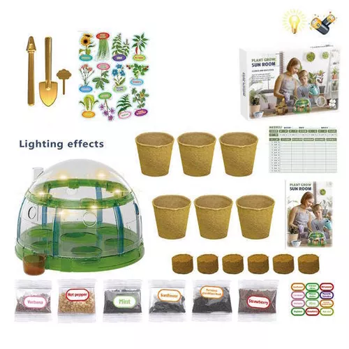 купить Набор для творчества ToyMall 004229 Home Florarim в Кишинёве 