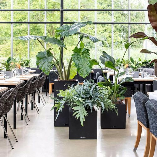 купить Цветочный горшок Lechuza Canto Color Square 30, Graphite Black в Кишинёве 