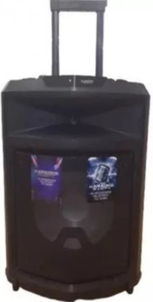 cumpără Giga sistem audio Zanetti BOX 13 MM DISCO în Chișinău 