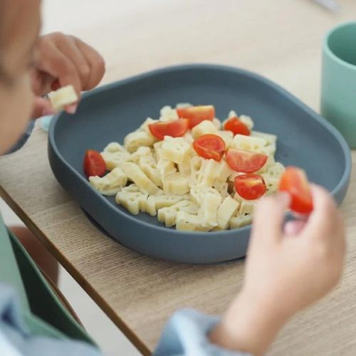 cumpără Seturi pentru hrănire bebelușilor Beaba B913550 Farfurie silicon cu ventuza Mineral Grey în Chișinău 