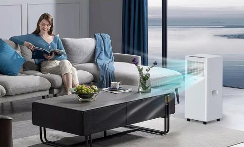 cumpără Aparat aer condiționat mobil TCL P09F4CSW0 în Chișinău 