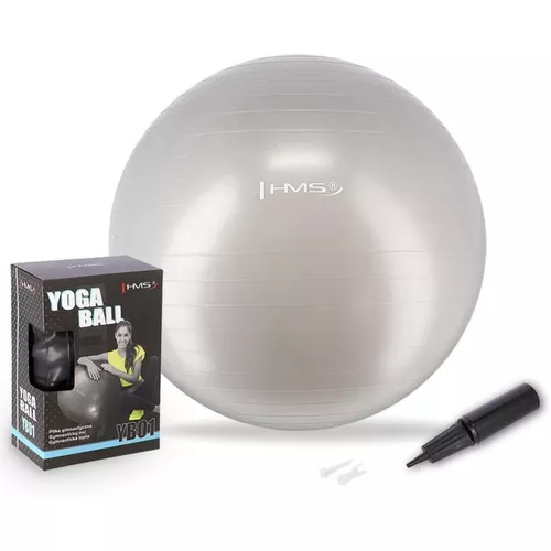 cumpără Minge HMS 4823 Minge gimnastica d=65cm cu pompa Gray YB01 (17-42-161) în Chișinău 