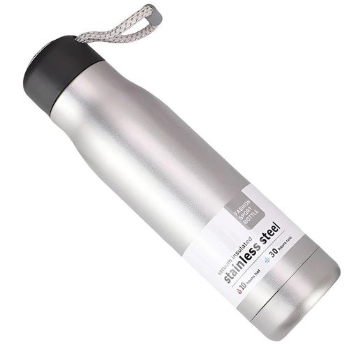 cumpără Termos Daily SJ429-27GR 550ml în Chișinău 