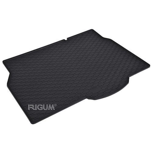купить Коврик для автомобиля Rigum Olel Astra H HB 2005-/ в Кишинёве 